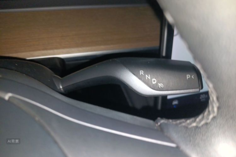 Tesla Model Y 2021 car image #16