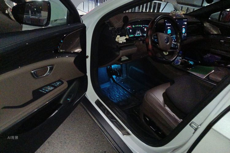 BYD Han 2022 immagine di auto #18