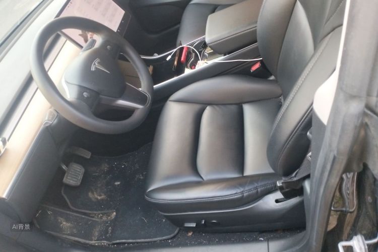 Tesla Model 3 2020 car image #17