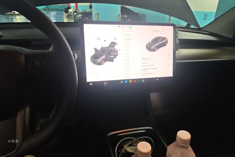 Tesla Model Y 2021 car image #15