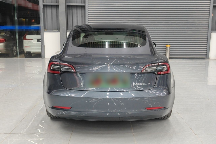 Tesla Model 3 2020 car image #4