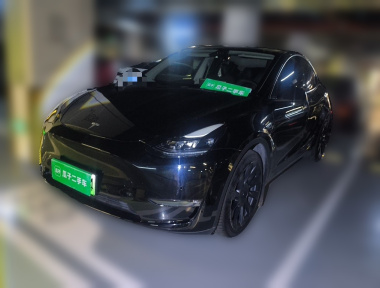 Tesla Model Y 2021 car image 