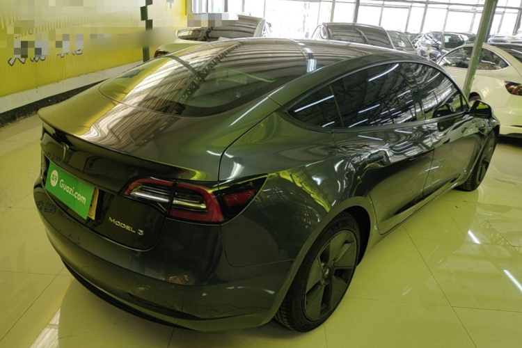 Tesla Model 3 2021 #7 Tesla Model 3 2021 car image #7