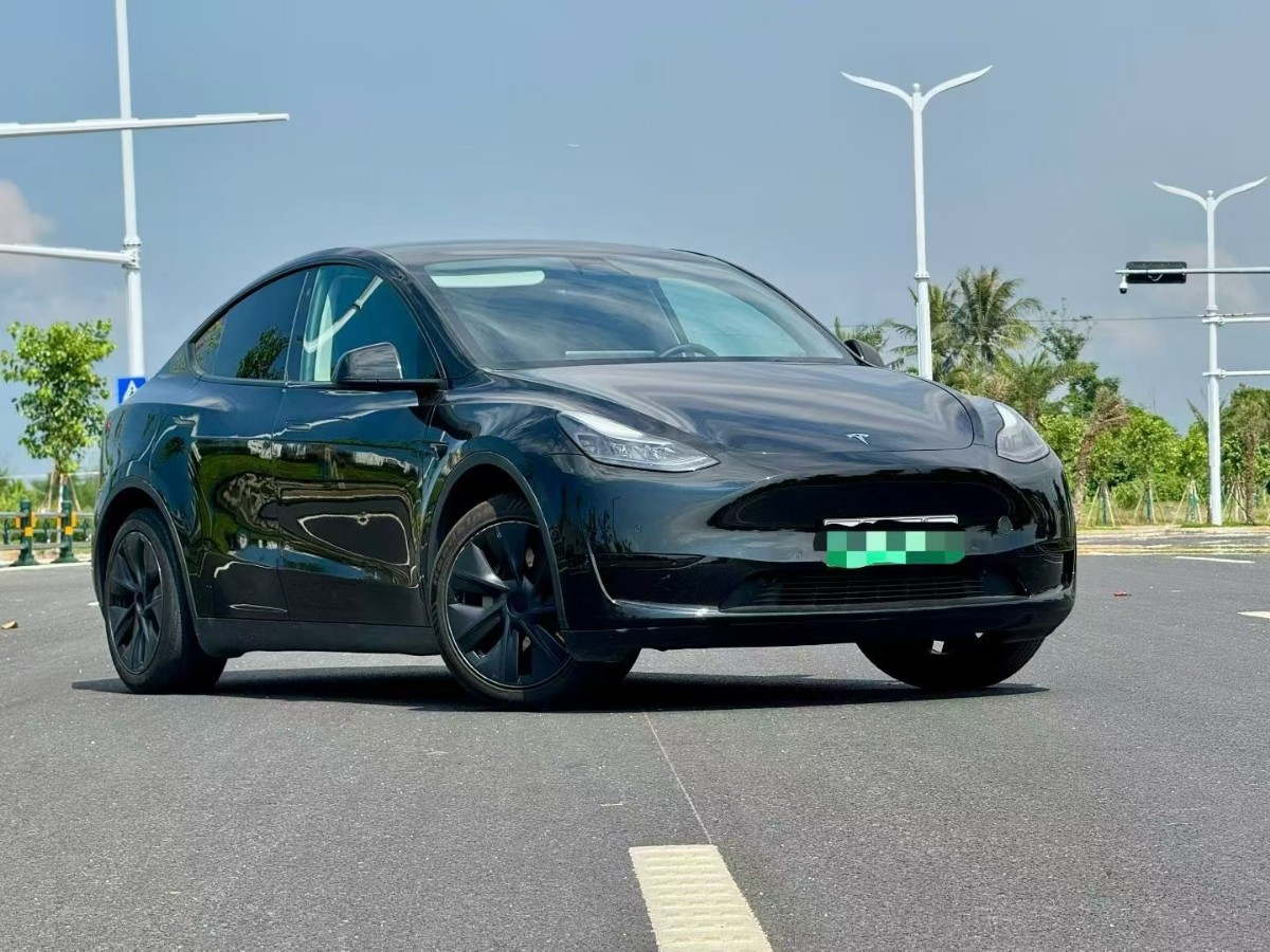 Tesla Model Y 2024 Tesla Model Y 2024 car image