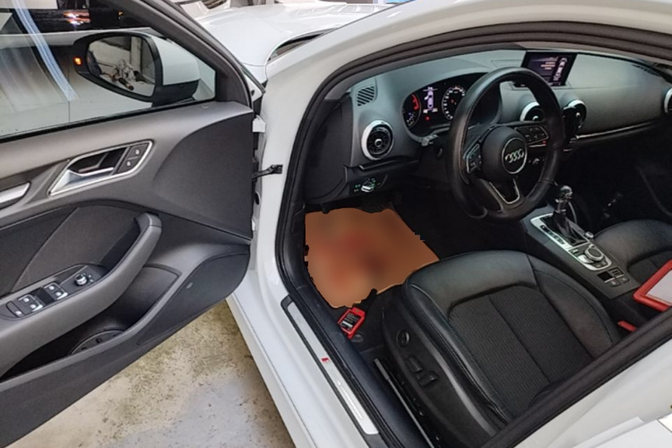 Audi A3 2019 car image #16