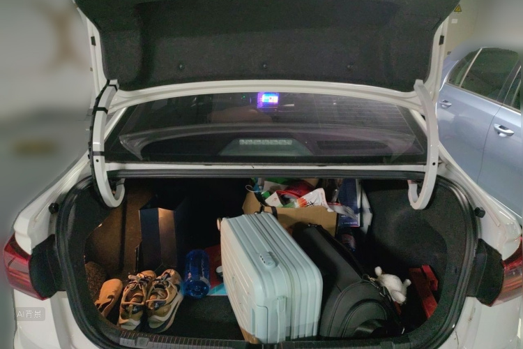 Volkswagen Bora 2019 car image #21