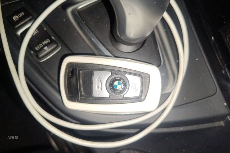 BMW 3 Series 2016 car image #10