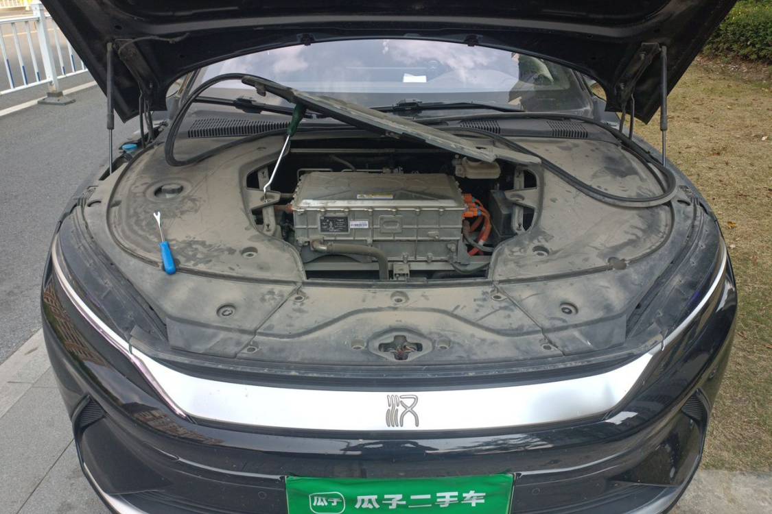 BYD Han 2021 #10 BYD Han 2021 immagine di auto #10