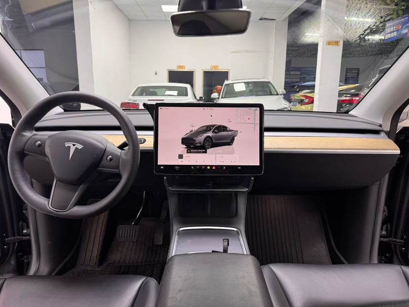 Tesla Model Y 2023 car image #8
