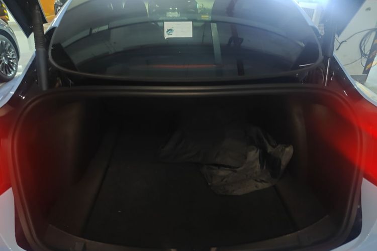 Tesla Model 3 2022 car image #19