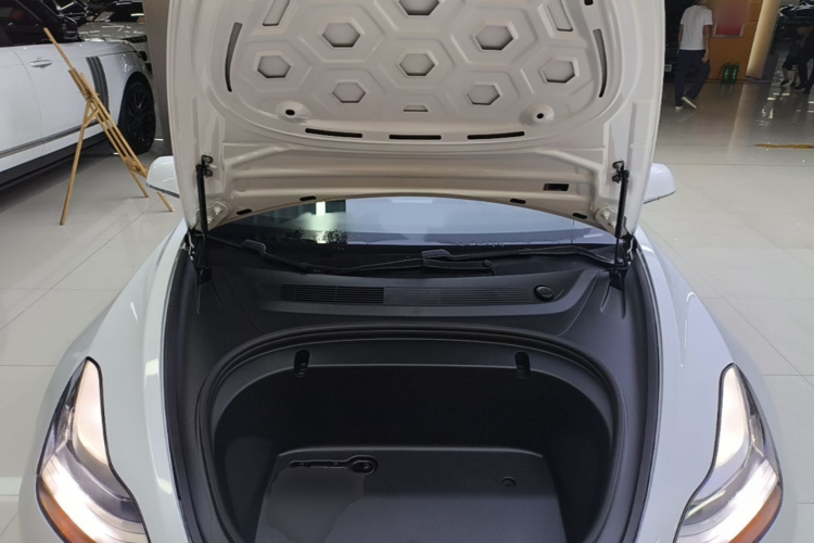 Tesla Model 3 2020 #20 Tesla Model 3 2020 car image #20