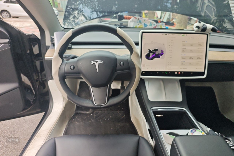 Tesla Model 3 2021 #12 Tesla Model 3 2021 immagine di auto #12