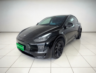 Tesla Model Y 2023 car image 