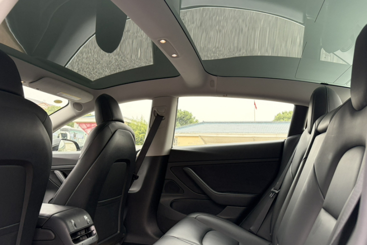 Tesla Model 3 2020 imagem de carro #16