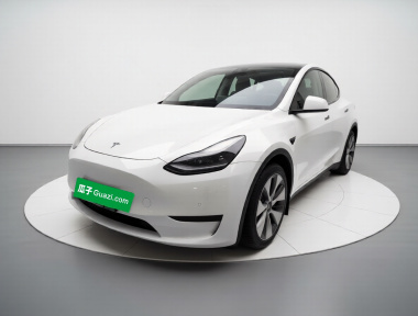 Tesla Model Y 2023 car image 