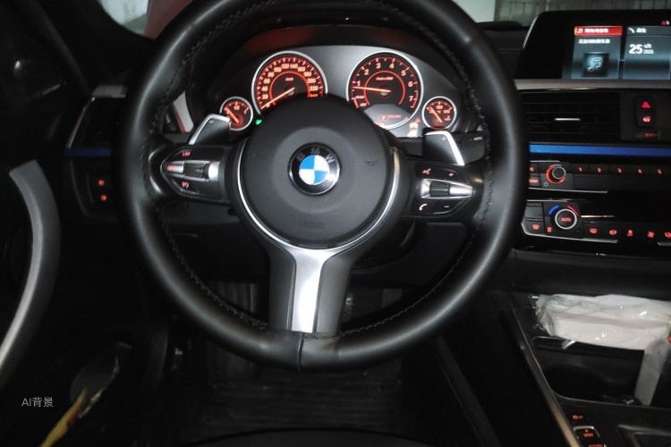 BMW 3 Series 2018 car image #12
