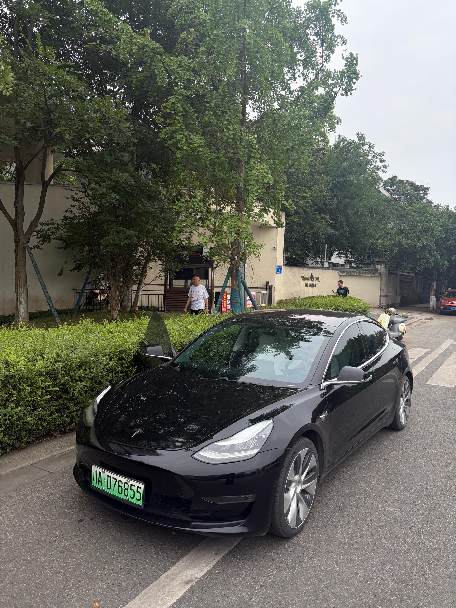 Tesla Model 3 (Imported) 2019 car image 