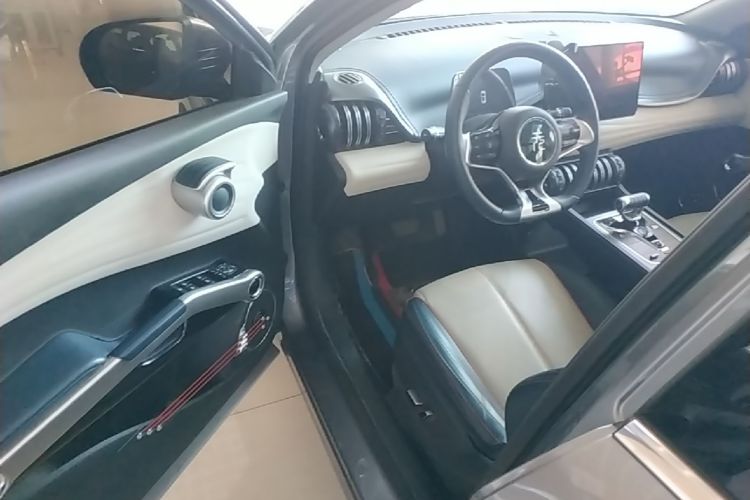BYD Yuan Plus 2022 car image #16