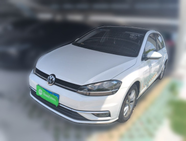 Volkswagen Golf 2019 Volkswagen Golf 2019 car image