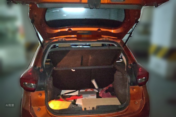 Chery Tiggo 3x 2016 car image #21