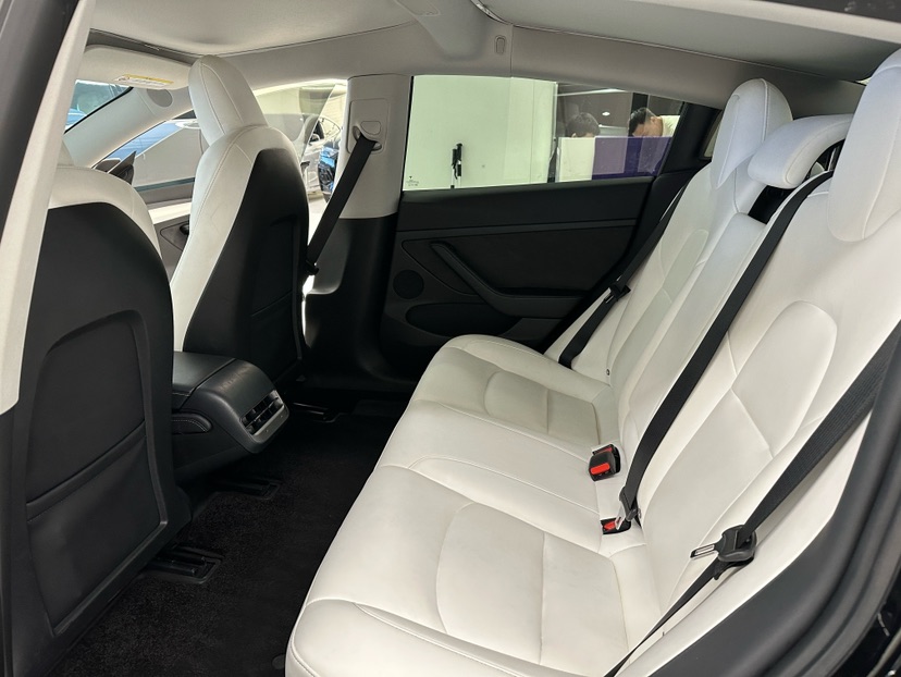 Tesla Model 3 2021 car image #3
