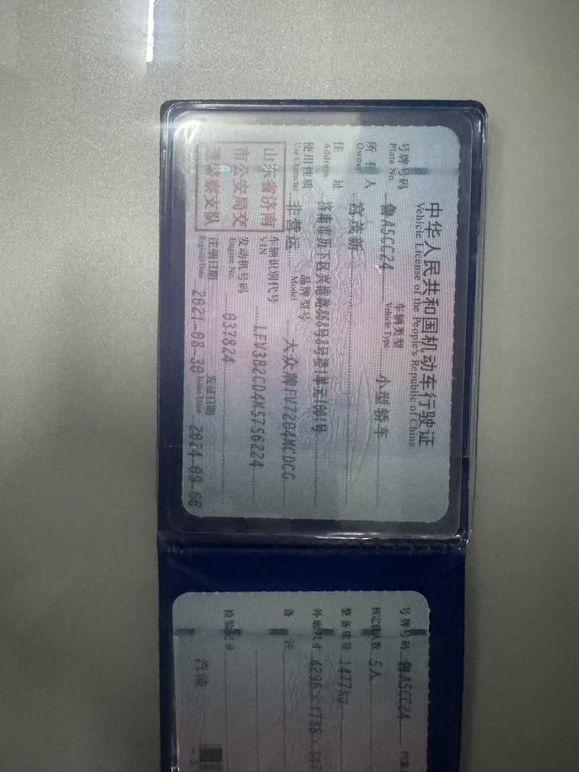 大众 高尔夫GTI 2021 汽车图片 #10