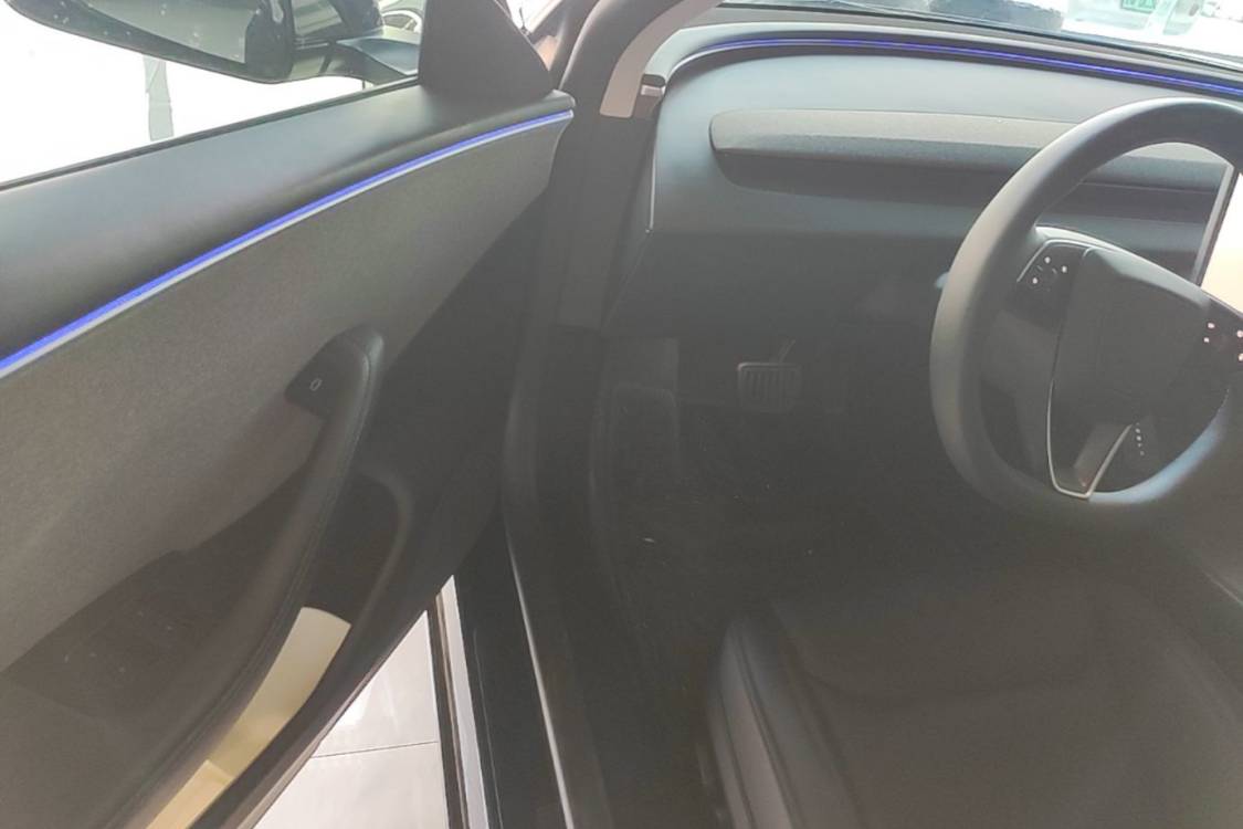 Tesla Model 3 2023 car image #17
