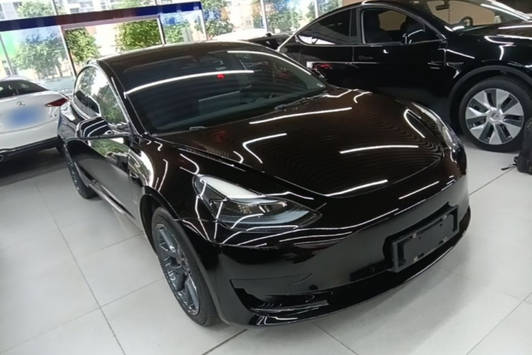 Tesla Model 3 2021 #4 Tesla Model 3 2021 car image #4