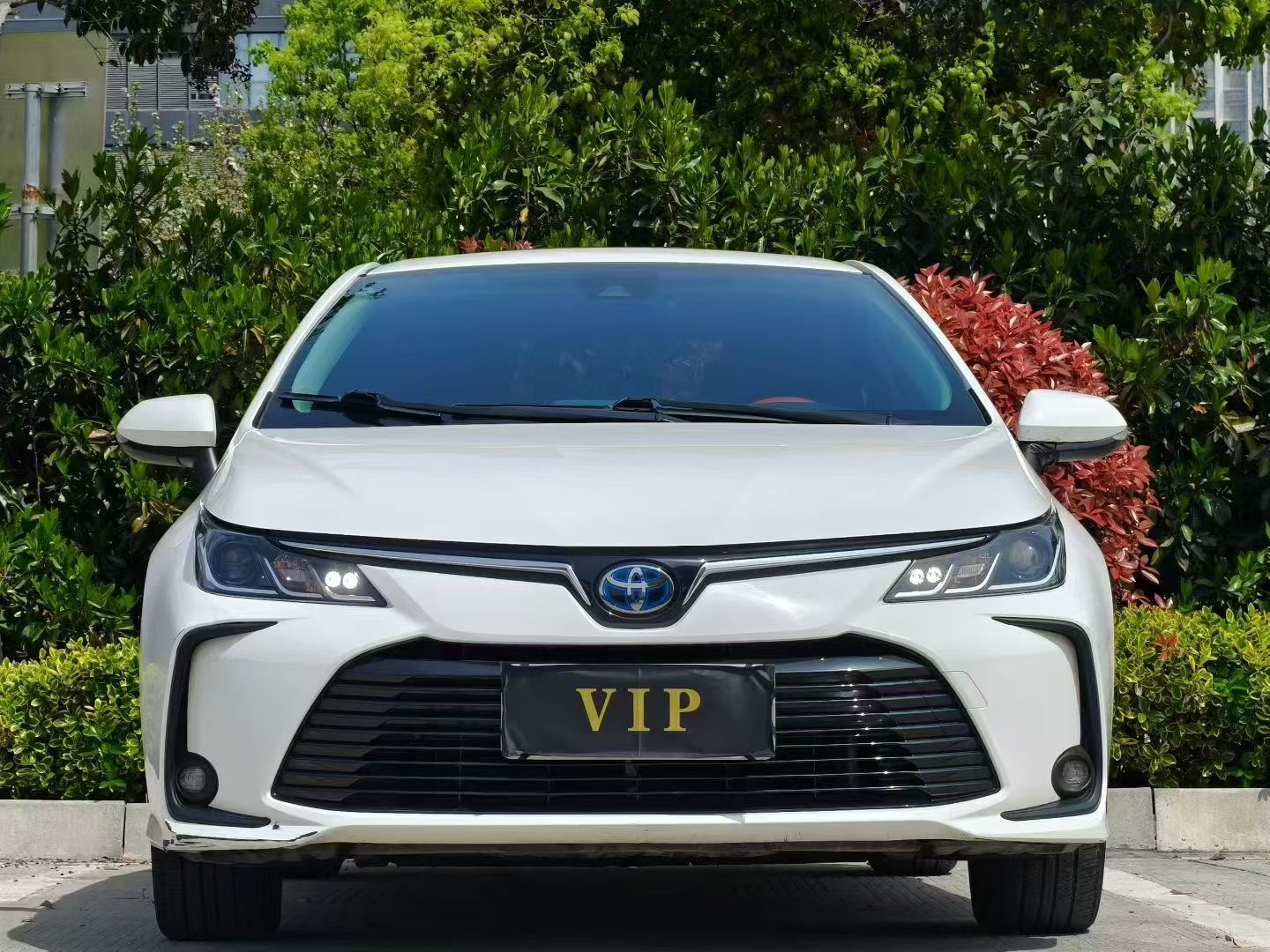 Toyota Corolla 2020 imagen de coche #2