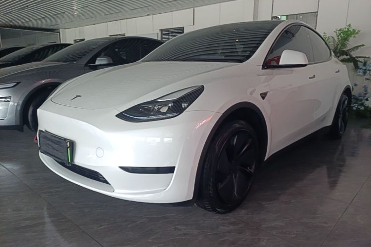 Tesla Model Y 2024 immagine di auto #2