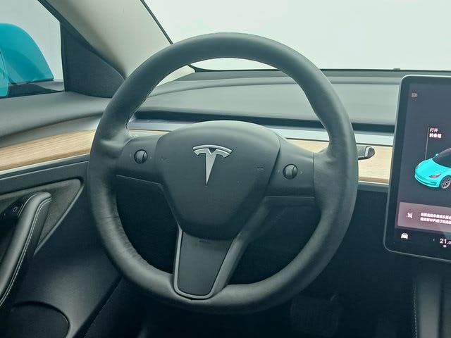 Tesla Model 3 2021 car image #8