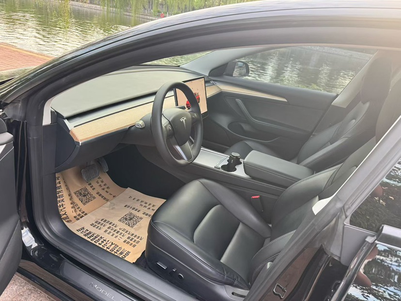 Tesla Model 3 2022 #6 Tesla Model 3 2022 car image #6