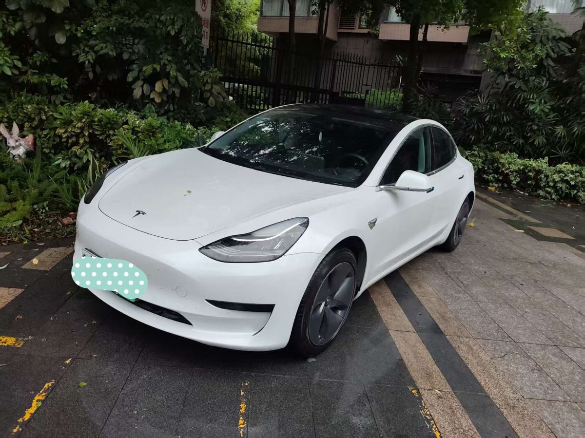 Tesla Model 3 2020 Tesla Model 3 2020 car image