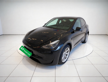 Tesla Model Y 2023 Tesla Model Y 2023 car image