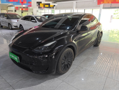 Tesla Model Y 2022 car image 