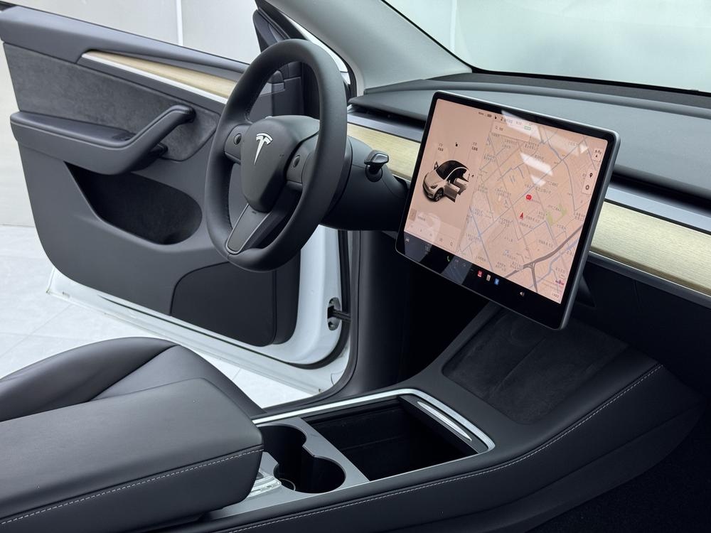 Tesla Model Y 2021 car image #17
