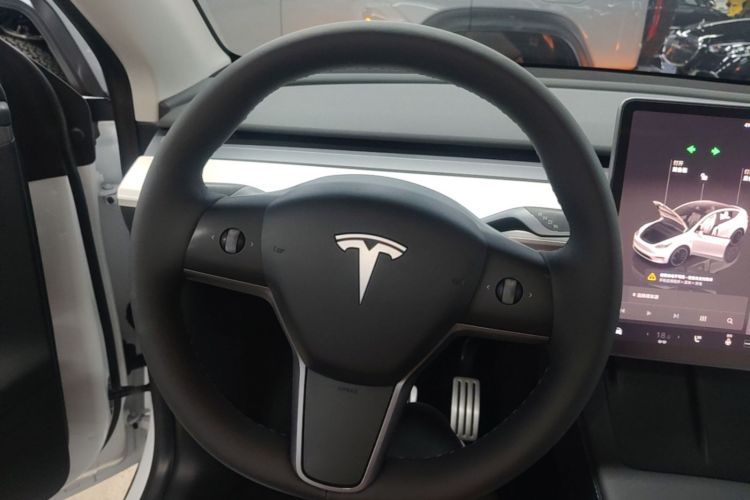 Tesla Model Y 2021 car image #15
