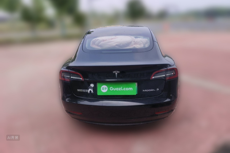 Tesla Model 3 2021 car image #6