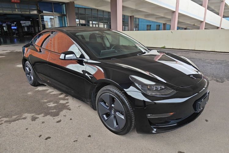 Tesla Model 3 2021 #4 Tesla Model 3 2021 car image #4