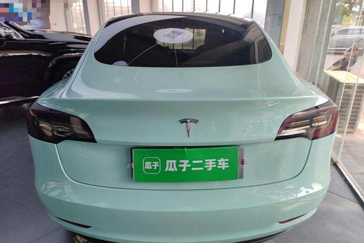 Tesla Model 3 2021 car image #6