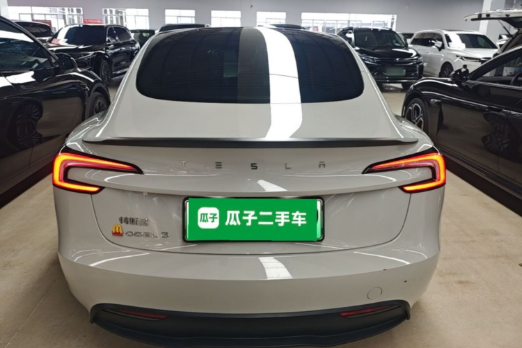 Tesla Model 3 2024 car image #6
