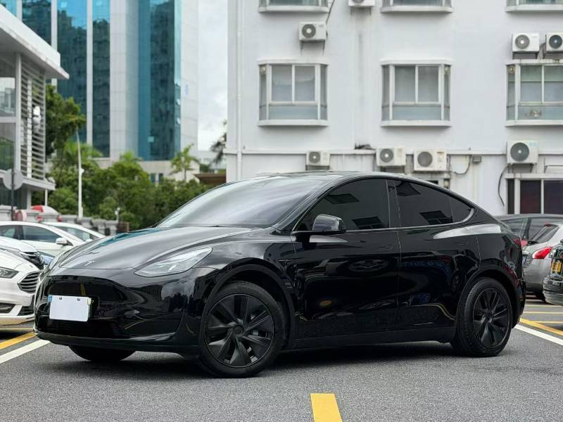 Tesla Model Y 2023 car image 