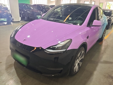 Tesla Model Y 2021 car image 