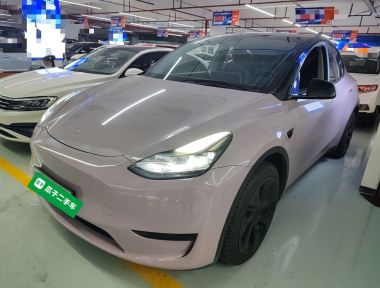 Tesla Model Y 2023 Tesla Model Y 2023 car image