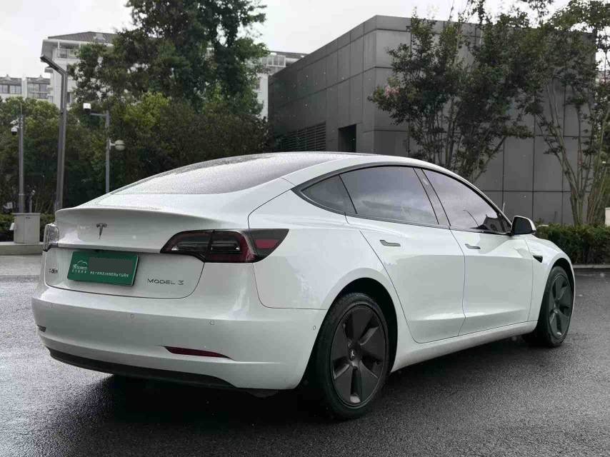 Tesla Model 3 2021 #8 Tesla Model 3 2021 car image #8