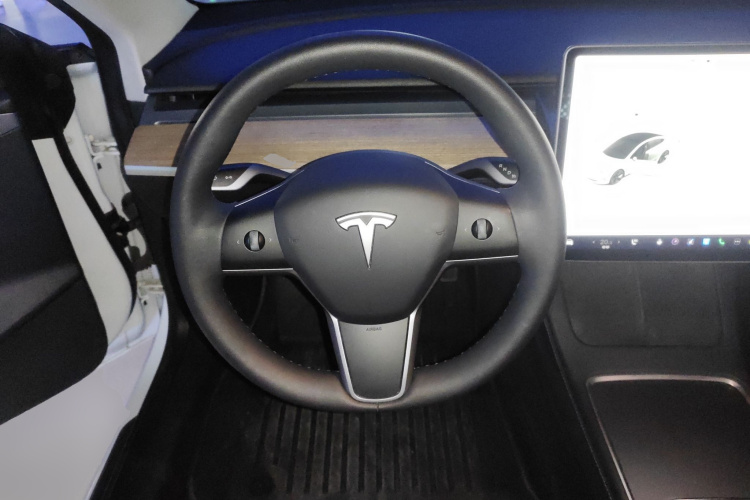 Tesla Model 3 2021 #15 Tesla Model 3 2021 car image #15