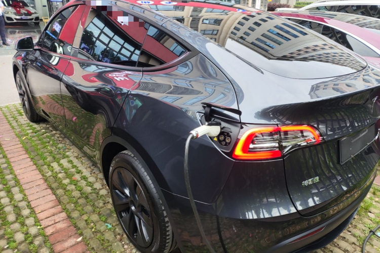 Tesla Model Y 2025 car image #7