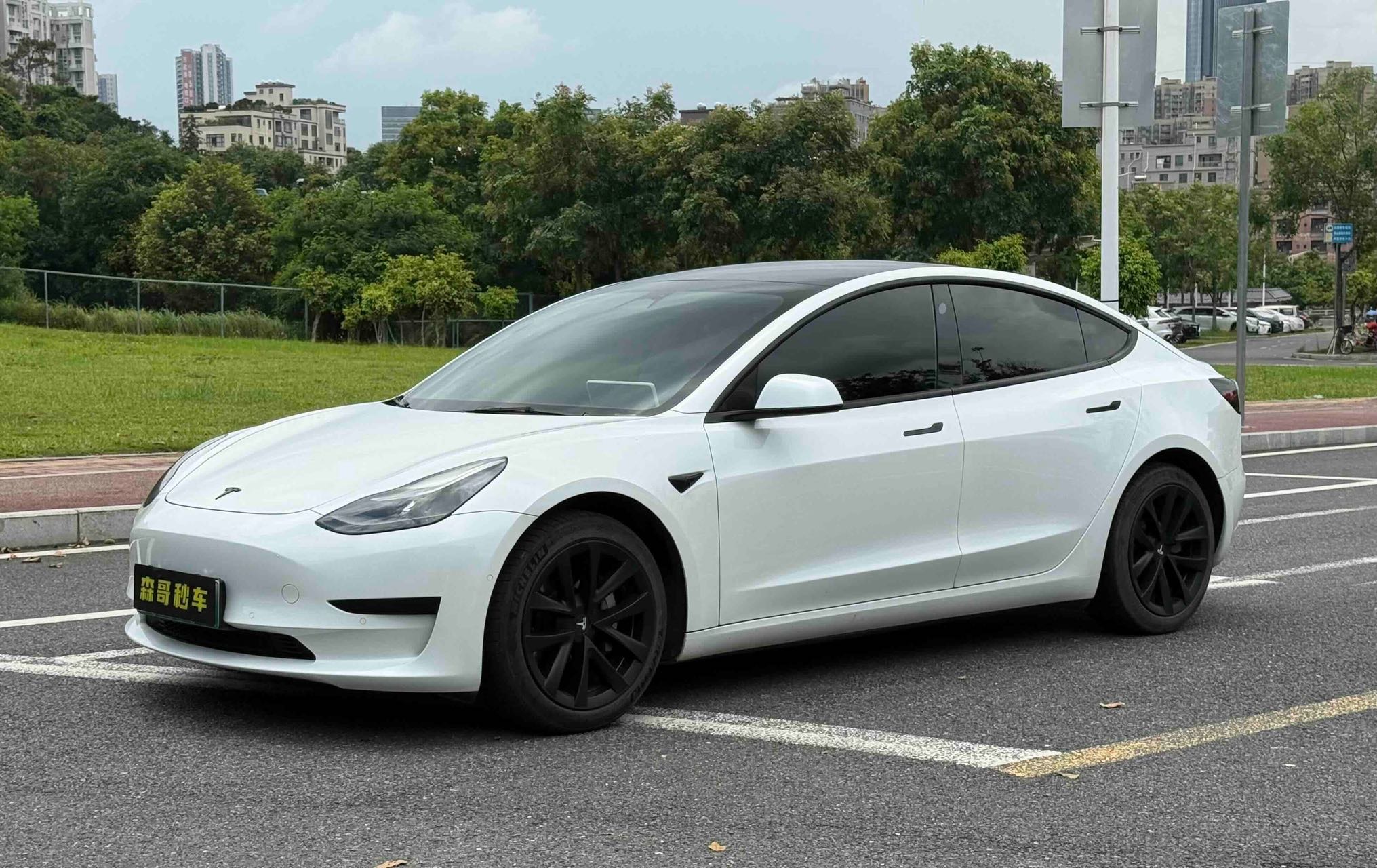 Tesla Model 3 2021 Tesla Model 3 2021 car image