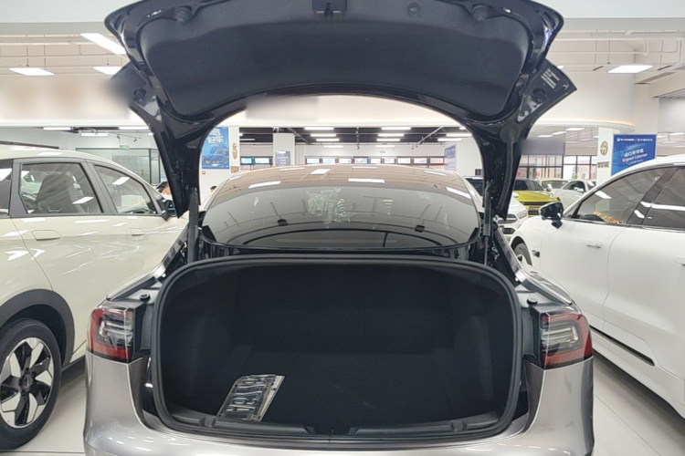 Tesla Model 3 2021 #19 Tesla Model 3 2021 car image #19