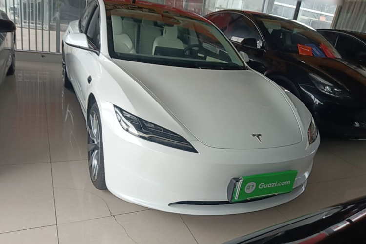 Tesla Model 3 2023 immagine di auto #3